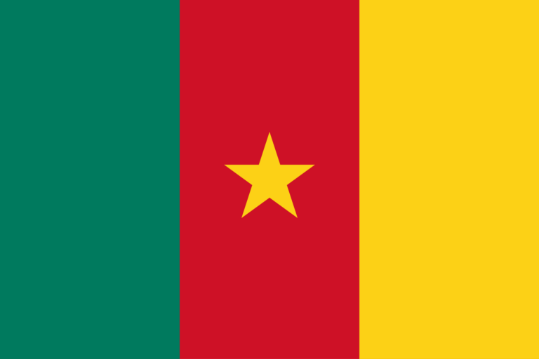 Cameroun 2002